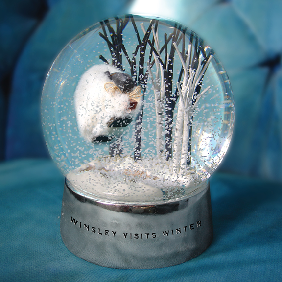 Winsley Visits Winter